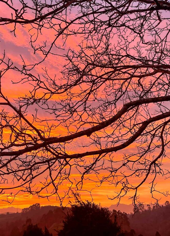 colores rojos naranajas y rosas en el amanecer en año nuevo con los picos de Europa al fondo